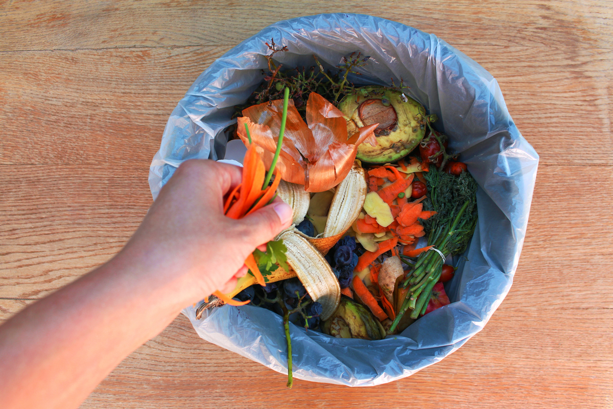 Persuasion and Influence: The Behaviour of Food Waste