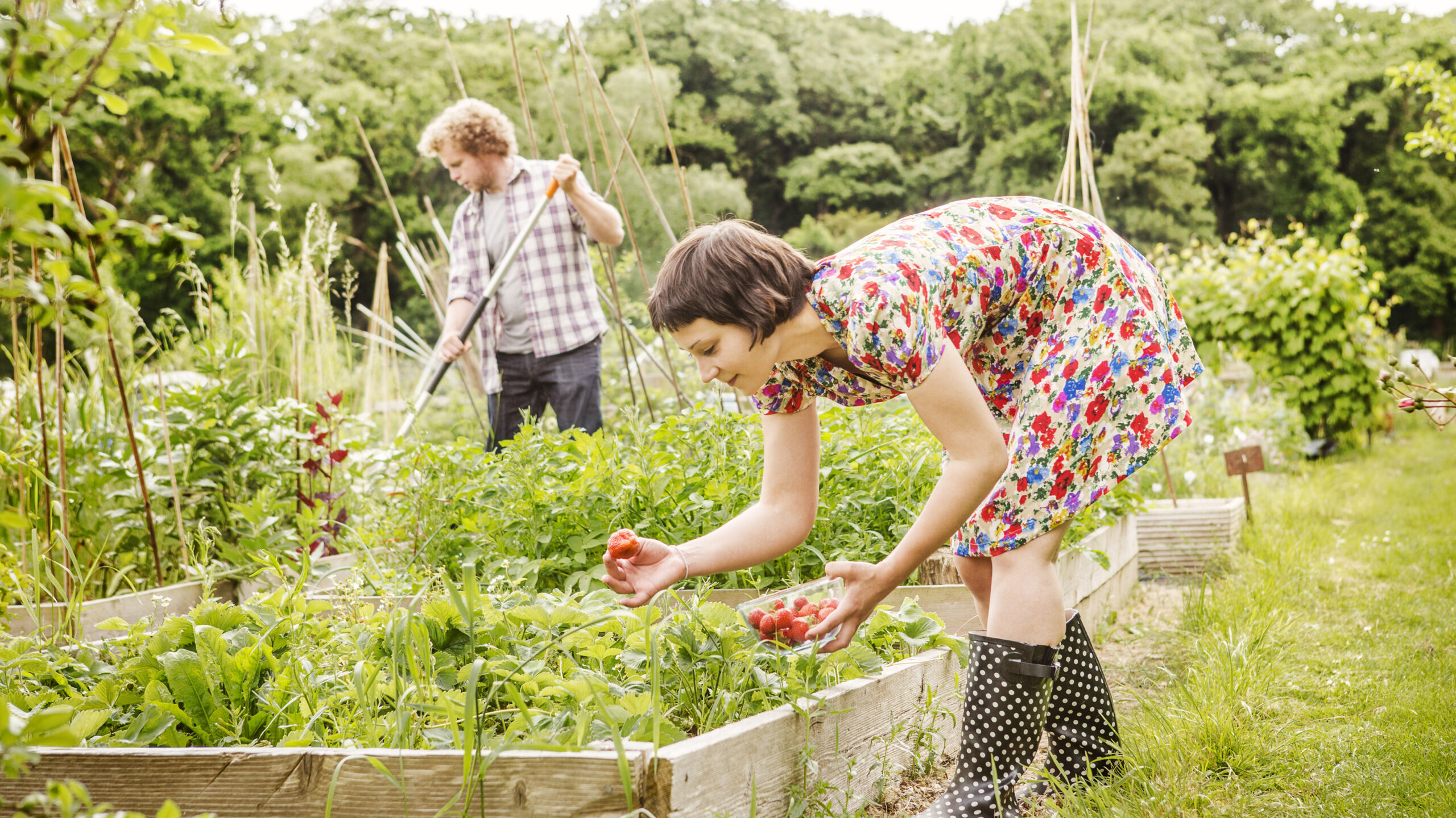 What Is Sustainable Gardening and Why Is It Important?