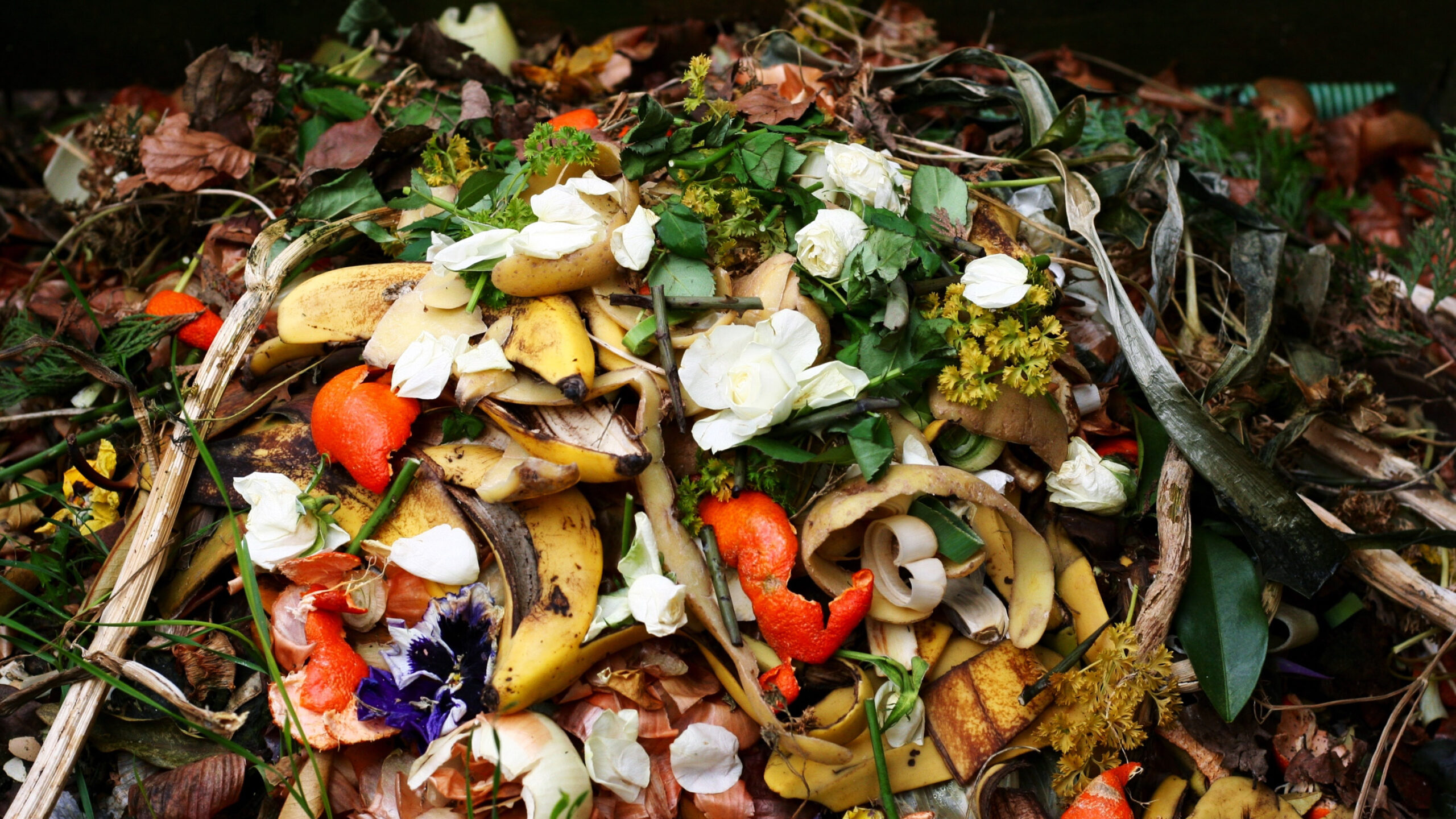 Food Waste and Fighting Food Waste: A Comprehensive Guide
