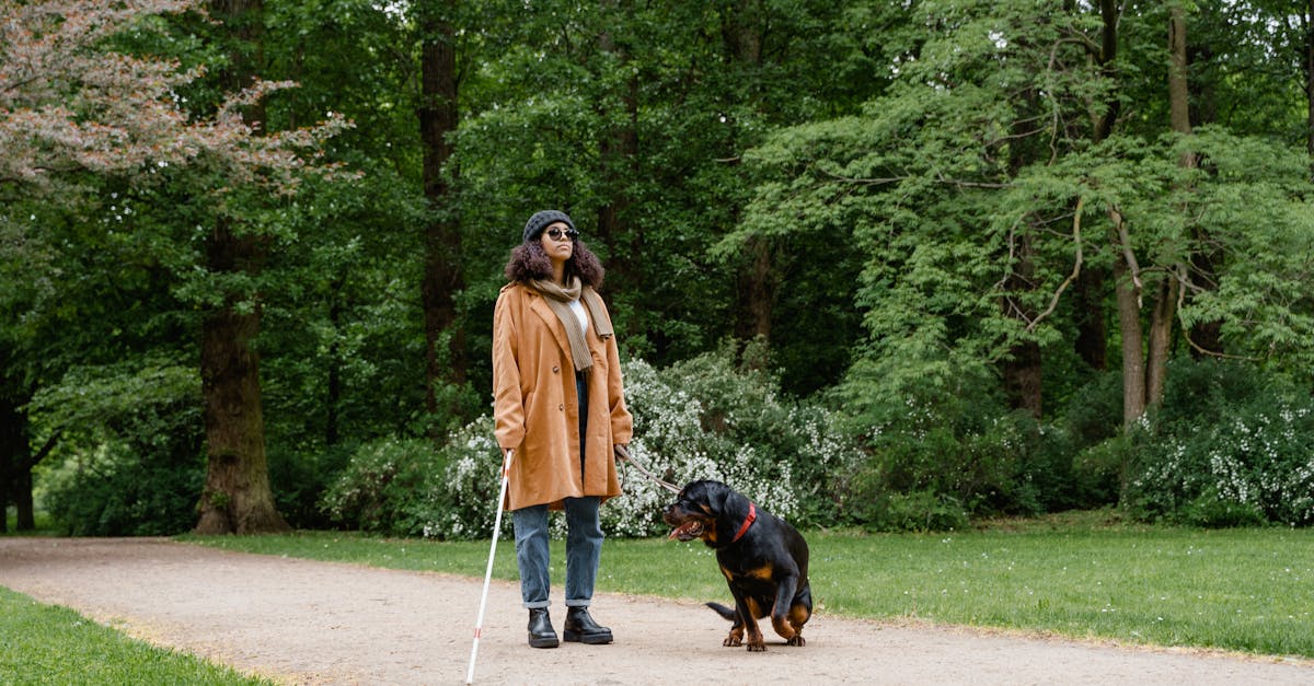 discover the incredible role of assistance dogs in enhancing the quality of life for individuals with disabilities. learn how these trained companions provide support, independence, and companionship, transforming lives one paw at a time.